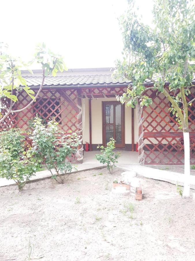 Casa Carter Hotel สฟึนตูกีออร์เก ภายนอก รูปภาพ